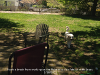 pictures/pic14.jpg