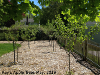pictures/pic15.jpg
