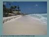 pictures/pic8.jpg