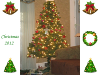 pictures/pic24.jpg
