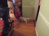 pictures/pic15.jpg