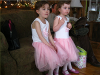 pictures/pic20.jpg