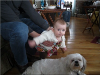 pictures/pic4.jpg