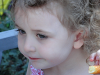 pictures/pic11.jpg