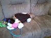 pictures/pic24.jpg