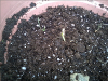 pictures/pic12.jpg
