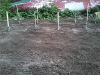pictures/pic14.jpg