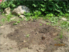 pictures/pic16.jpg