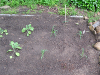 pictures/pic21.jpg