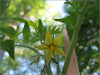 pictures/pic22.jpg