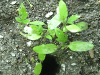pictures/pic23.jpg