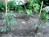 pictures/pic25.jpg