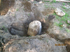 pictures/pic7.jpg