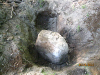 pictures/pic8.jpg