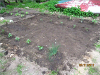 pictures/pic9.jpg