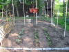 pictures/pic19.jpg