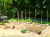 pictures/pic20.jpg
