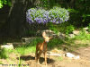 pictures/pic21.jpg