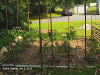 pictures/pic10.jpg