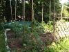 pictures/pic15.jpg