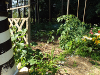 pictures/pic16.jpg