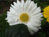 pictures/pic19.jpg