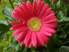 pictures/pic21.jpg