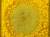 pictures/pic22.jpg