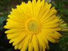pictures/pic23.jpg