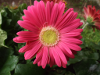 pictures/pic24.jpg