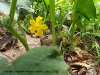 pictures/pic6.jpg