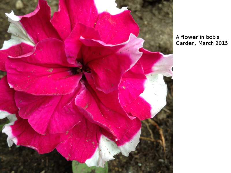 pictures/pic2.jpg