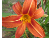 pictures/pic17.jpg