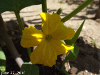 pictures/pic19.jpg