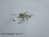 pictures/pic23.jpg