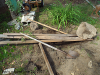 pictures/pic10.jpg