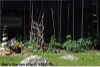 pictures/pic14.jpg