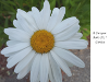pictures/pic17.jpg