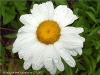 pictures/pic19.jpg