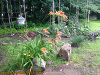 pictures/pic21.jpg