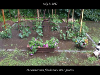 pictures/pic25.jpg