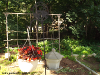 pictures/pic26.jpg
