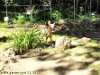 pictures/pic8.jpg