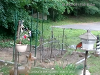 pictures/pic16.jpg