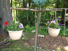 pictures/pic20.jpg
