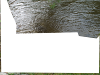 pictures/pic1.jpg