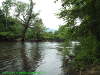 pictures/pic10.jpg