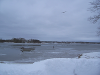 pictures/pic10.jpg