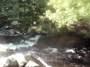 pictures/pic12.jpg
