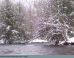 pictures/salmon-river-1.png